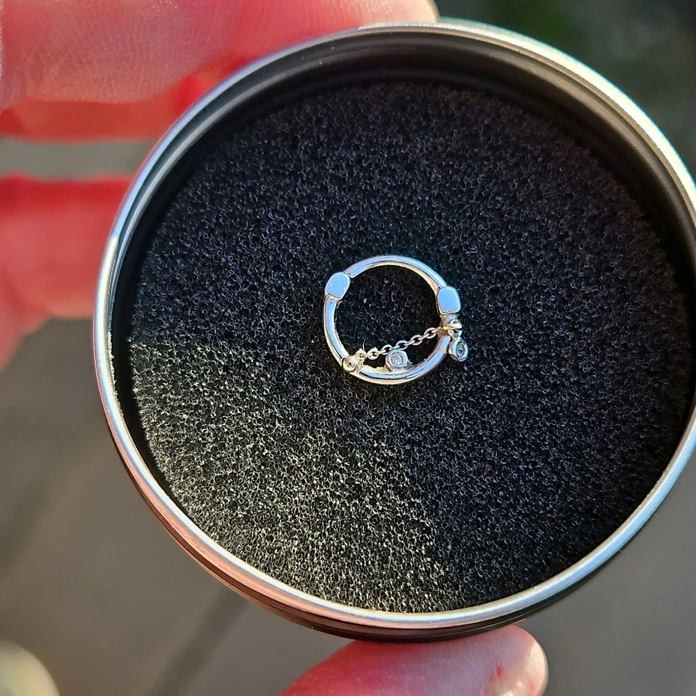 Pupil Hall Runway Dangle - Picture 2 of 3